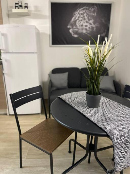 Bella Sicilia Apartment Palermo Luaran gambar